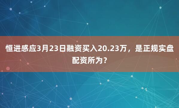 恒进感应3月23日融资买入20.23万，是正规实盘配资所为？