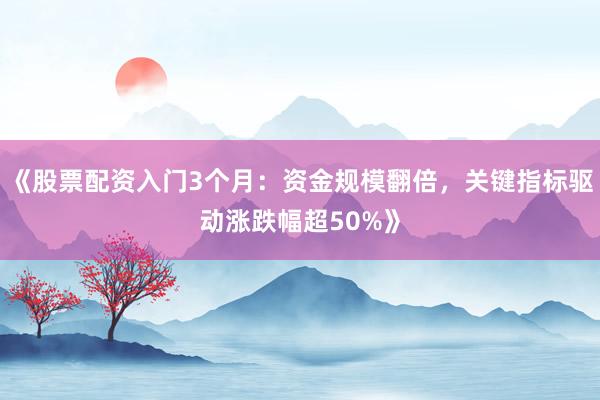《股票配资入门3个月：资金规模翻倍，关键指标驱动涨跌幅超50%》