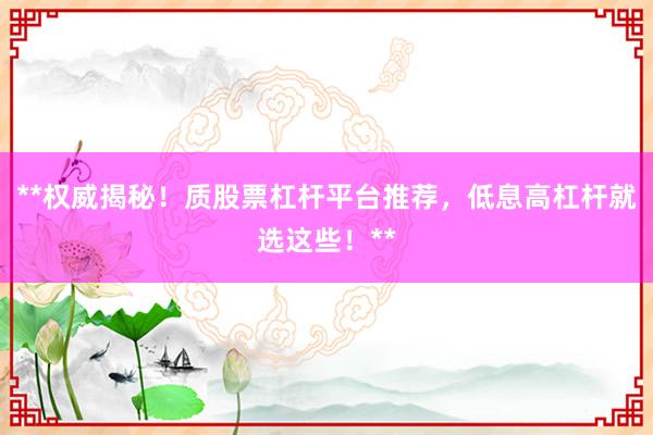 **权威揭秘！质股票杠杆平台推荐，低息高杠杆就选这些！**