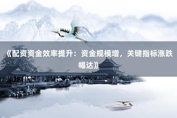 《配资资金效率提升：资金规模增，关键指标涨跌幅达》