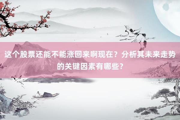 这个股票还能不能涨回来啊现在?分析其未来走势的关键因素有哪些?