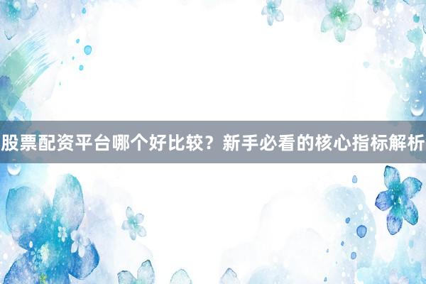 股票配资平台哪个好比较?新手必看的核心指标解析